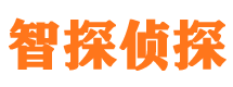 峰峰市调查公司